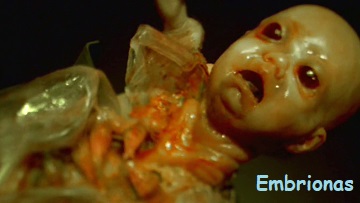 Embrionas, 1998