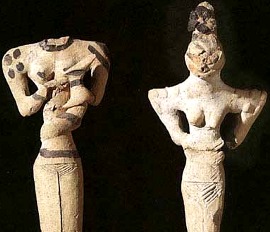 Reptilias from Iraq