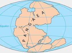 Pangja