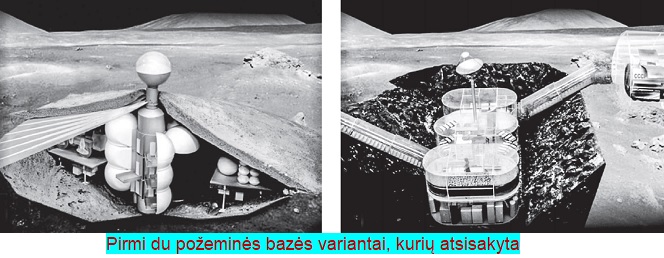 DLB pirmi variantai