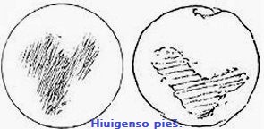 Huygens Mars drawing