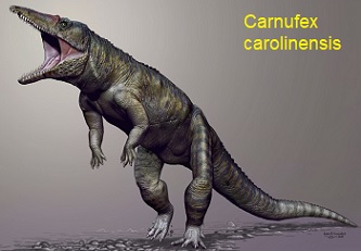 Carnufex carolinensis