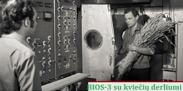 BIOS 3 su kviei derliumi