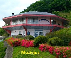 NSO muziejos Iino